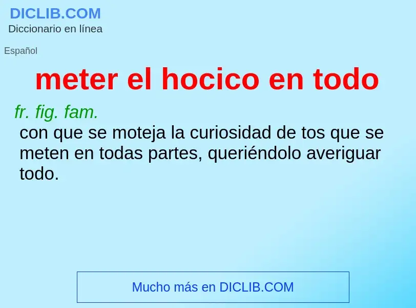 What is meter el hocico en todo - meaning and definition