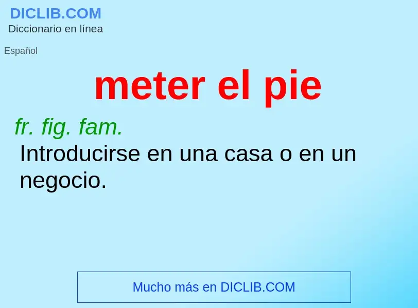 Wat is meter el pie - definition