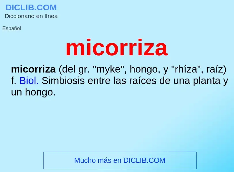 ¿Qué es micorriza? - significado y definición