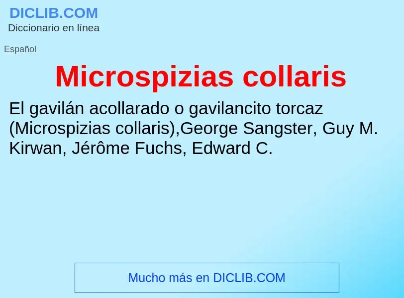 Τι είναι Microspizias collaris - ορισμός