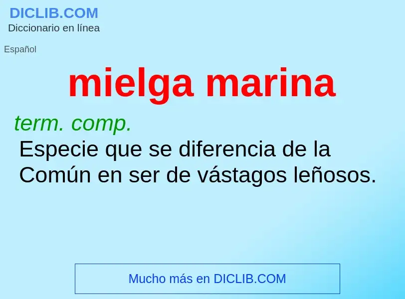 What is mielga marina - definition