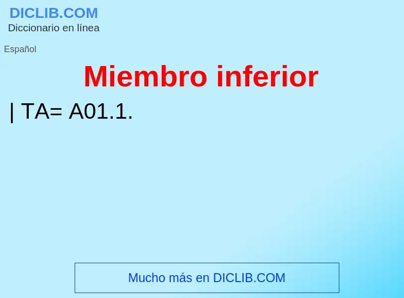 What is Miembro inferior - meaning and definition