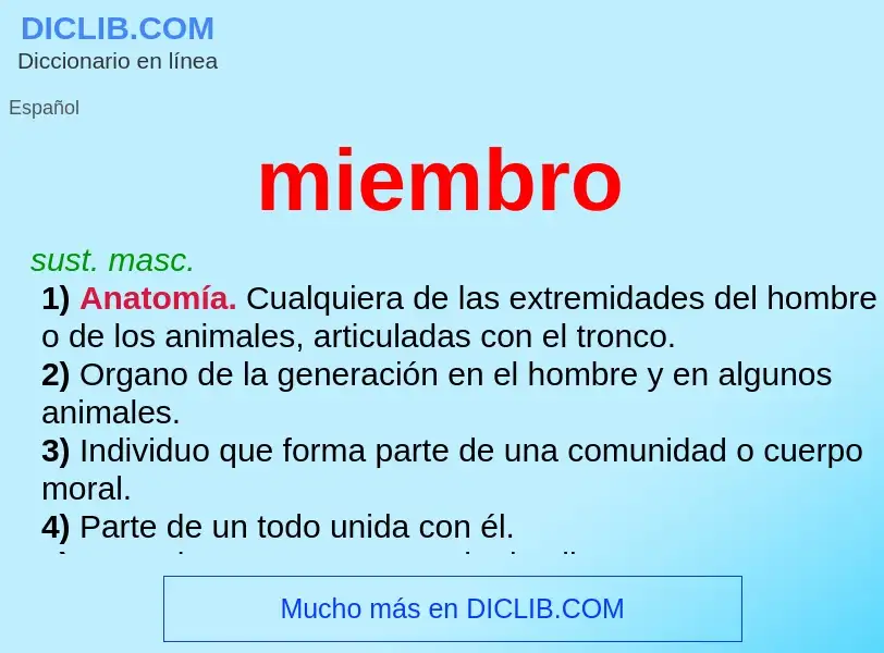 O que é miembro - definição, significado, conceito