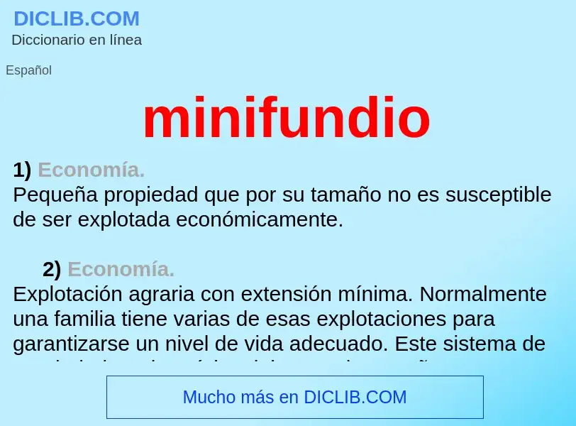 What is minifundio - meaning and definition