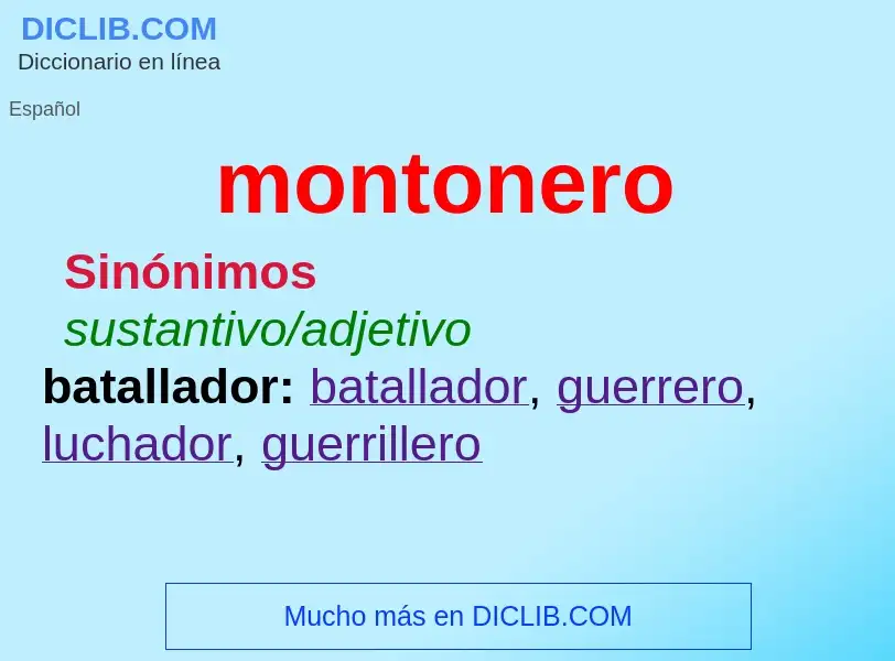 What is montonero - definition