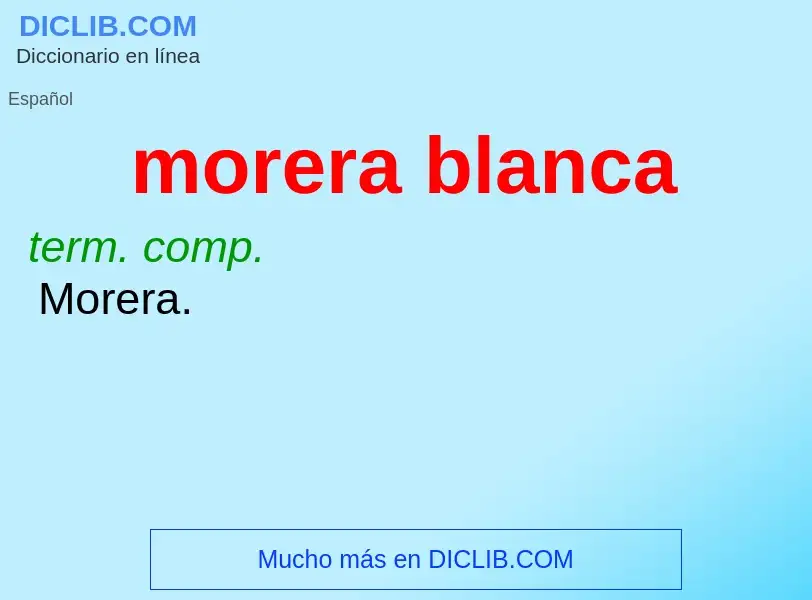 Wat is morera blanca - definition