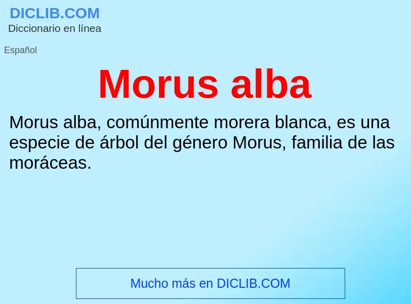 Τι είναι Morus alba - ορισμός