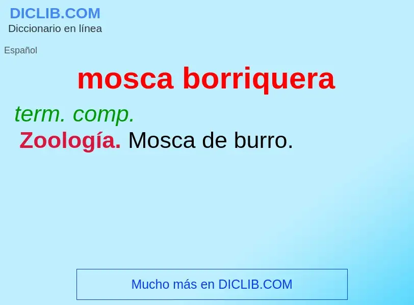 O que é mosca borriquera - definição, significado, conceito