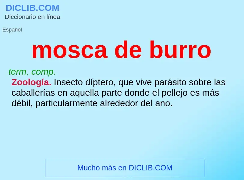 What is mosca de burro - definition