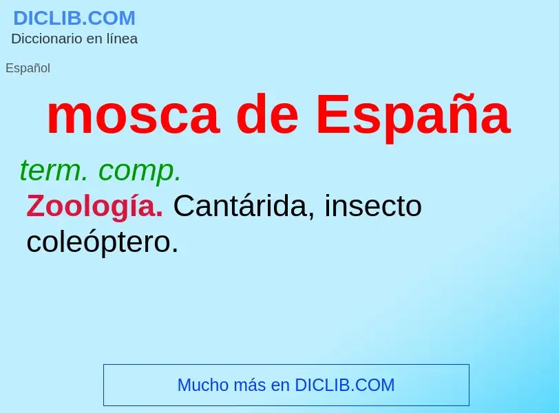 What is mosca de España - meaning and definition