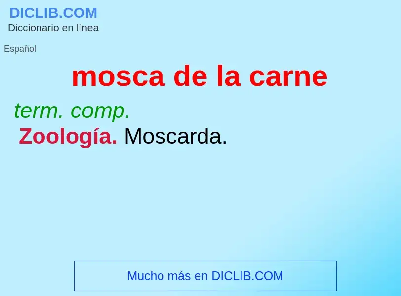 What is mosca de la carne - definition