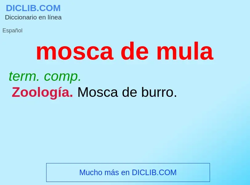 What is mosca de mula - meaning and definition