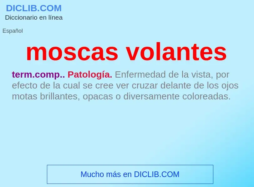 Wat is moscas volantes - definition