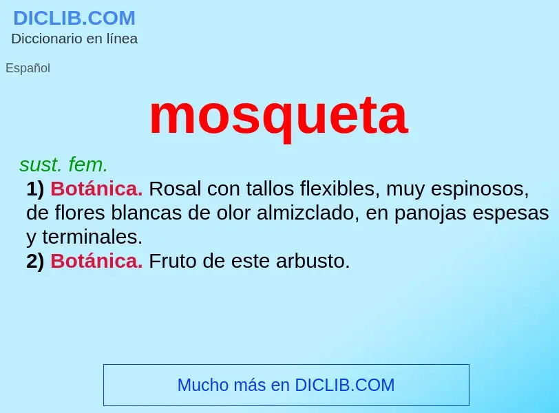 Was ist mosqueta - Definition