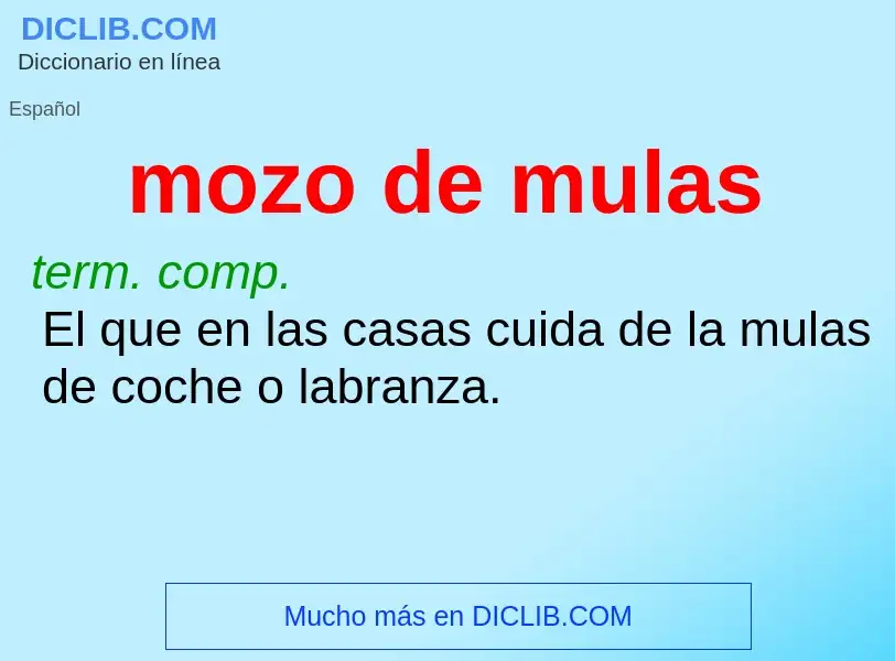 What is mozo de mulas - definition