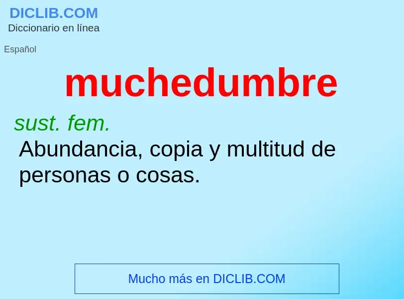 Wat is muchedumbre - definition