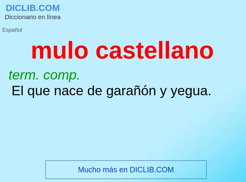 What is mulo castellano - definition