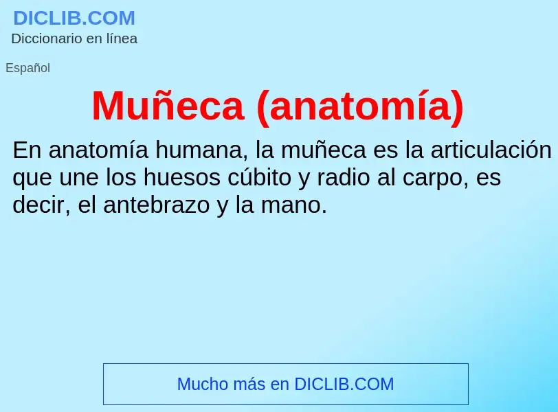 O que é Muñeca (anatomía) - definição, significado, conceito