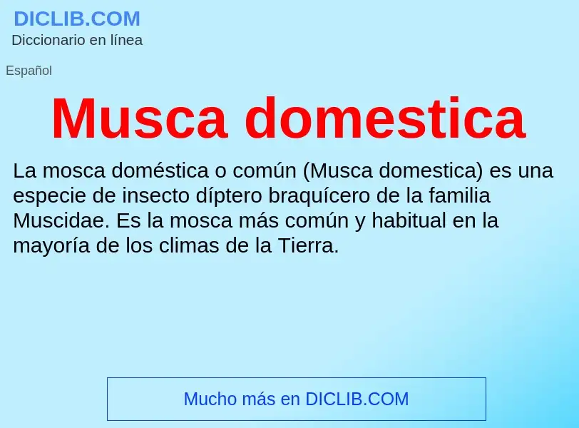 Wat is Musca domestica - definition