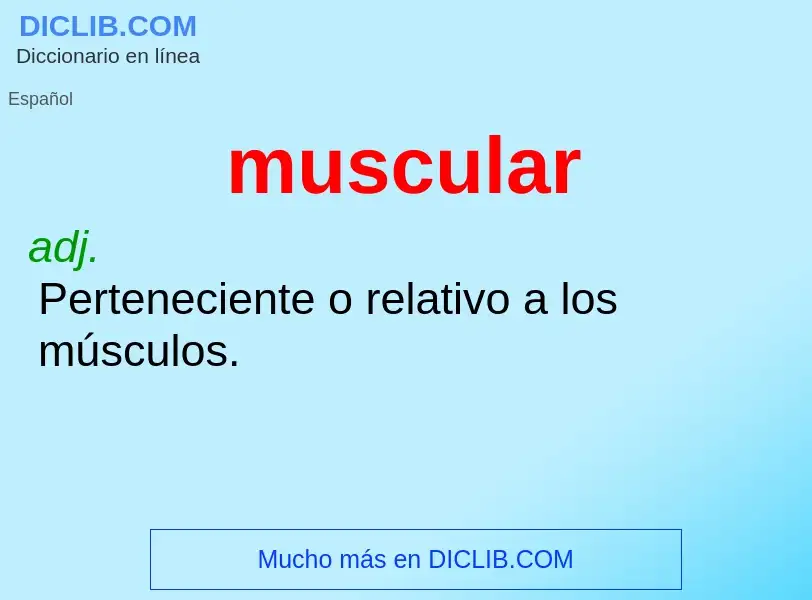 O que é muscular - definição, significado, conceito