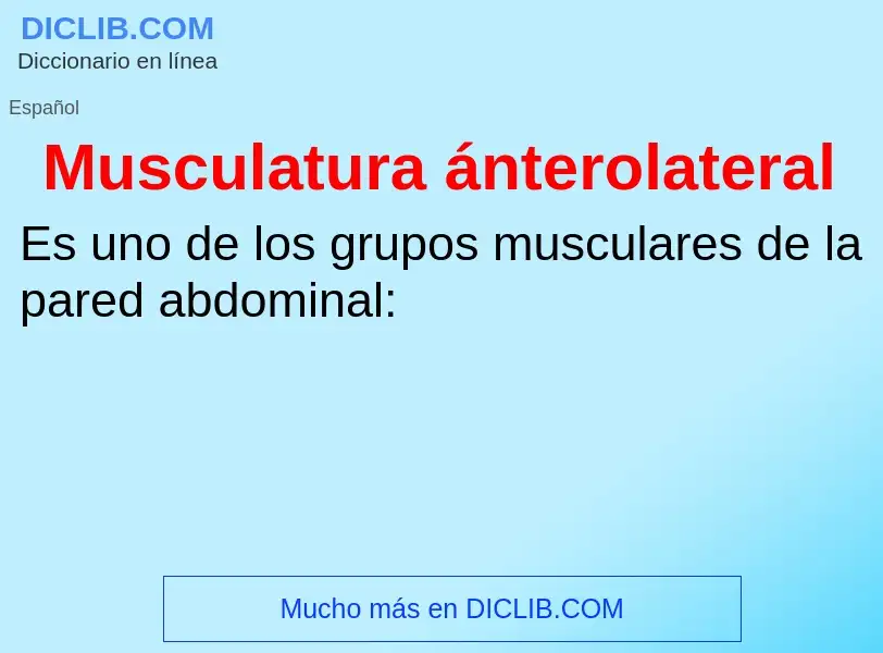 Che cos'è Musculatura ánterolateral - definizione