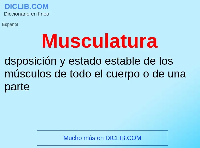 O que é Musculatura - definição, significado, conceito