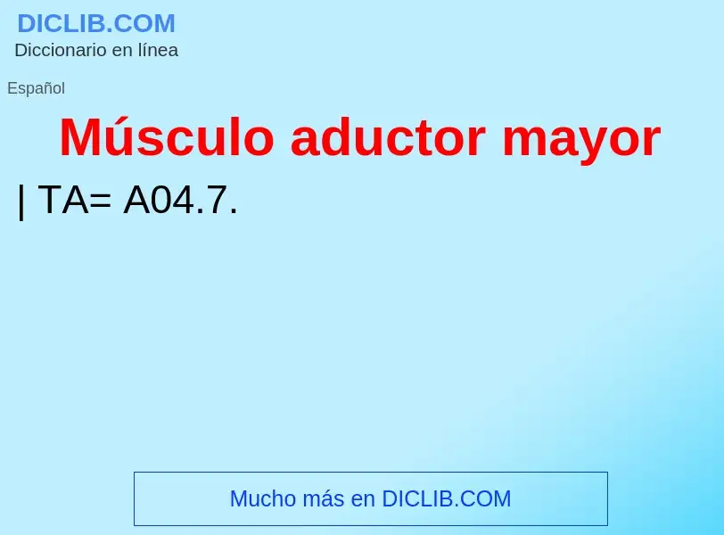 Qu'est-ce que Músculo aductor mayor - définition