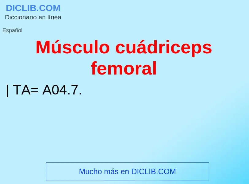 Was ist Músculo cuádriceps femoral - Definition