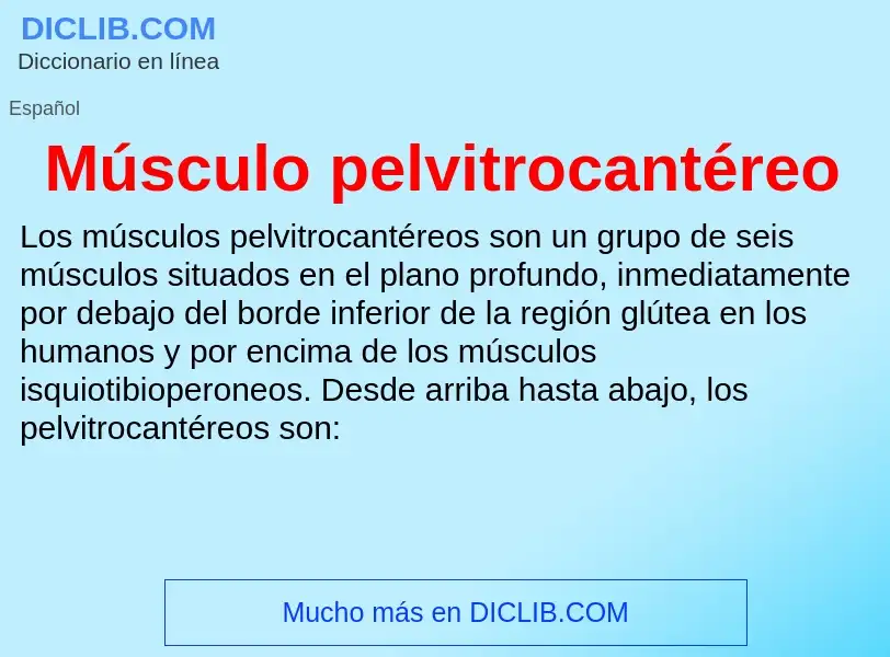 Wat is Músculo pelvitrocantéreo - definition