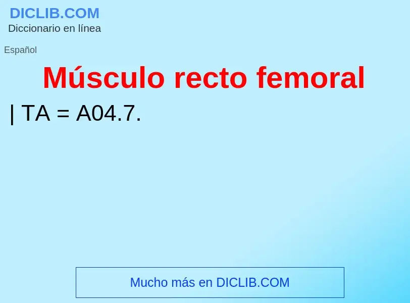 ¿Qué es Músculo recto femoral? - significado y definición