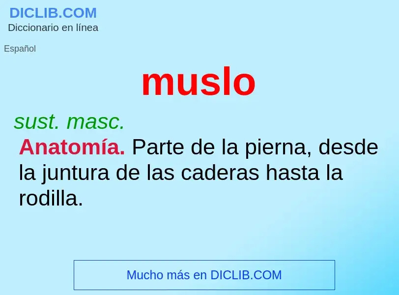 ¿Qué es muslo? - significado y definición