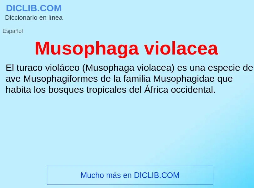 What is Musophaga violacea - meaning and definition