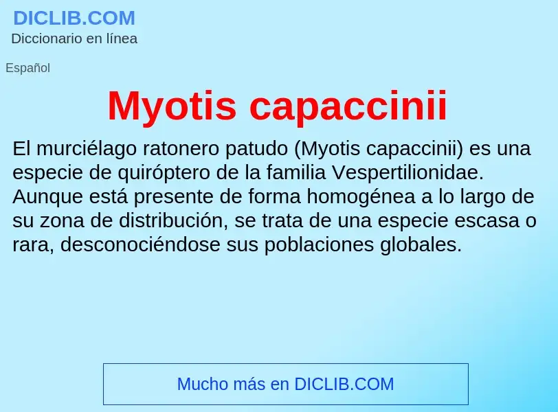 Che cos'è Myotis capaccinii - definizione