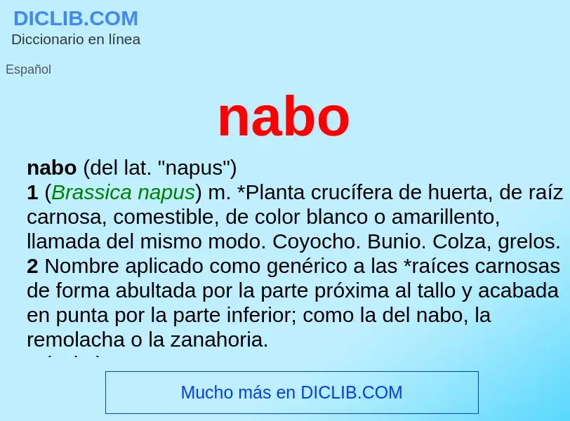 ¿Qué es nabo? - significado y definición