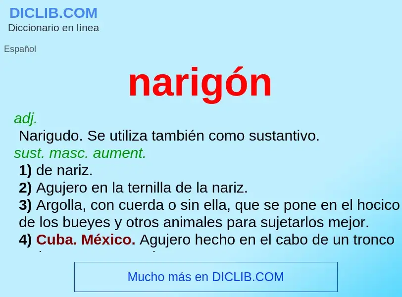 Was ist narigón - Definition