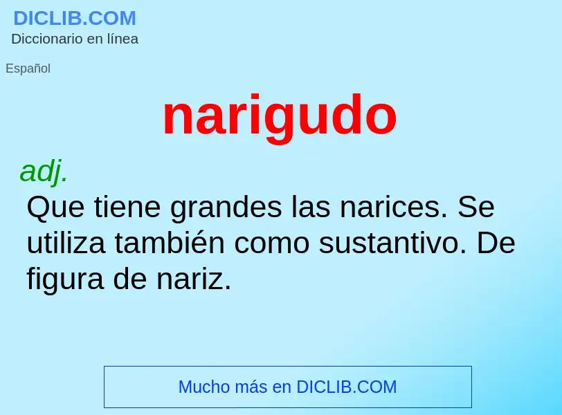 ¿Qué es narigudo? - significado y definición