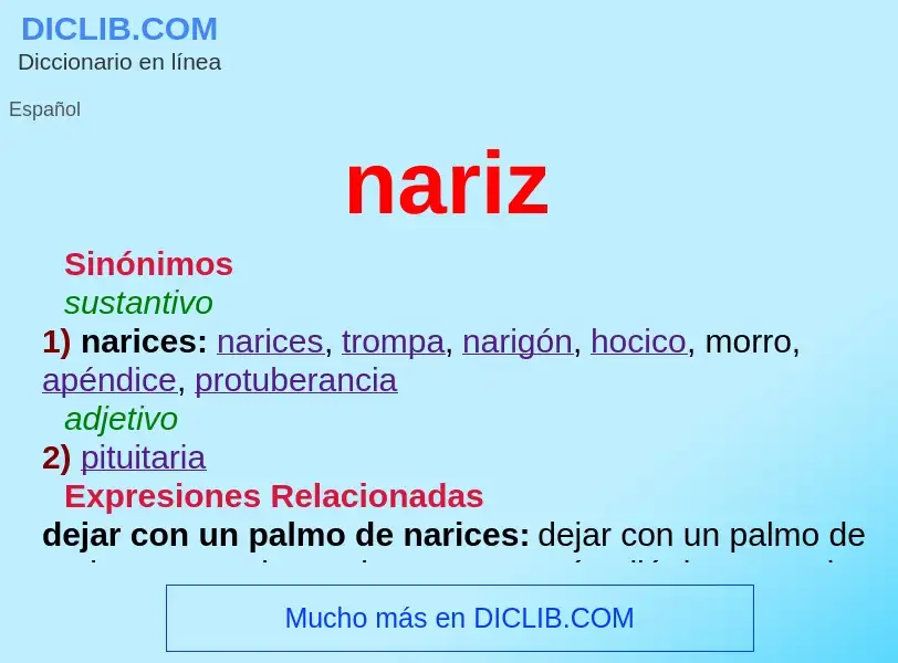 What is nariz - meaning and definition