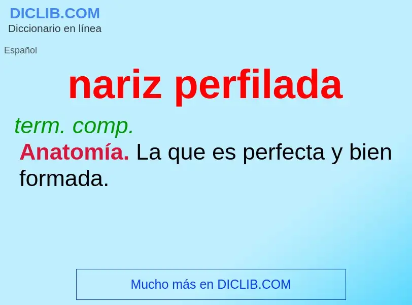 What is nariz perfilada - meaning and definition