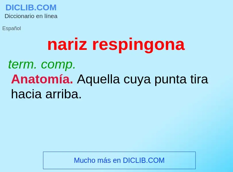 What is nariz respingona - definition