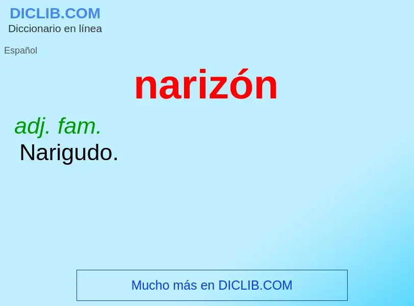 O que é narizón - definição, significado, conceito