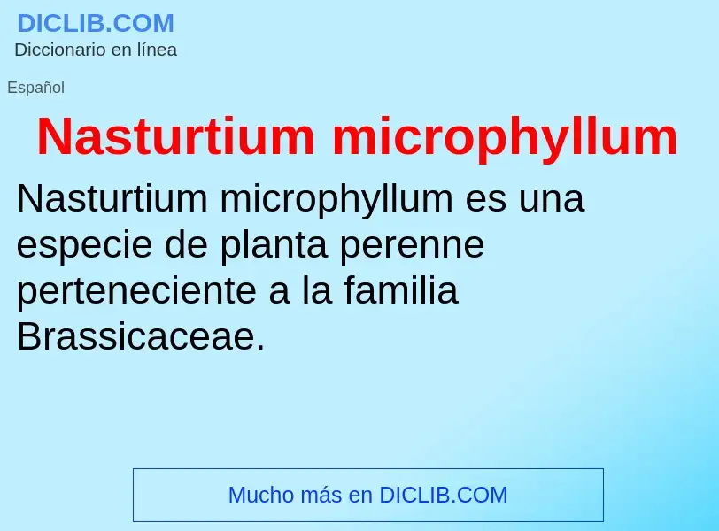 What is Nasturtium microphyllum - meaning and definition