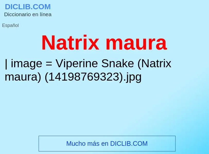 Was ist Natrix maura - Definition