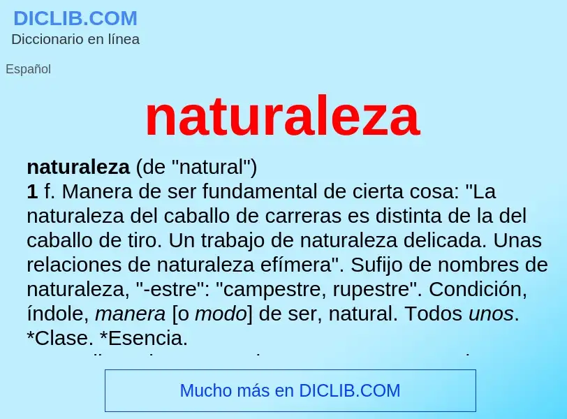 Was ist naturaleza - Definition