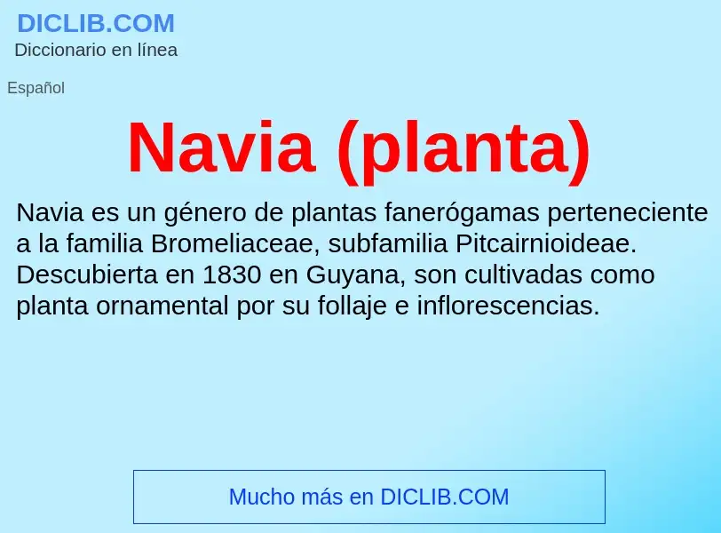 ¿Qué es Navia (planta)? - significado y definición