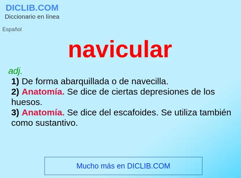 Что такое navicular - определение