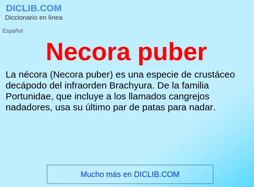 ¿Qué es Necora puber? - significado y definición