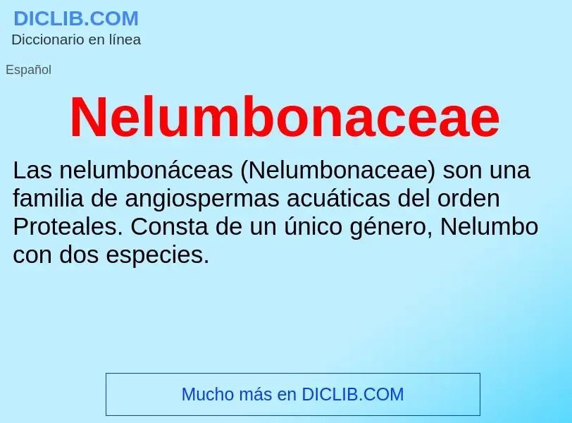 Was ist Nelumbonaceae - Definition