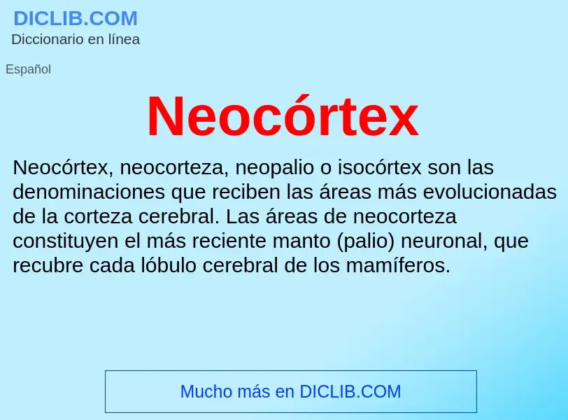 ¿Qué es Neocórtex? - significado y definición