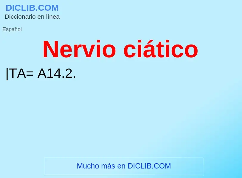 ¿Qué es Nervio ciático? - significado y definición