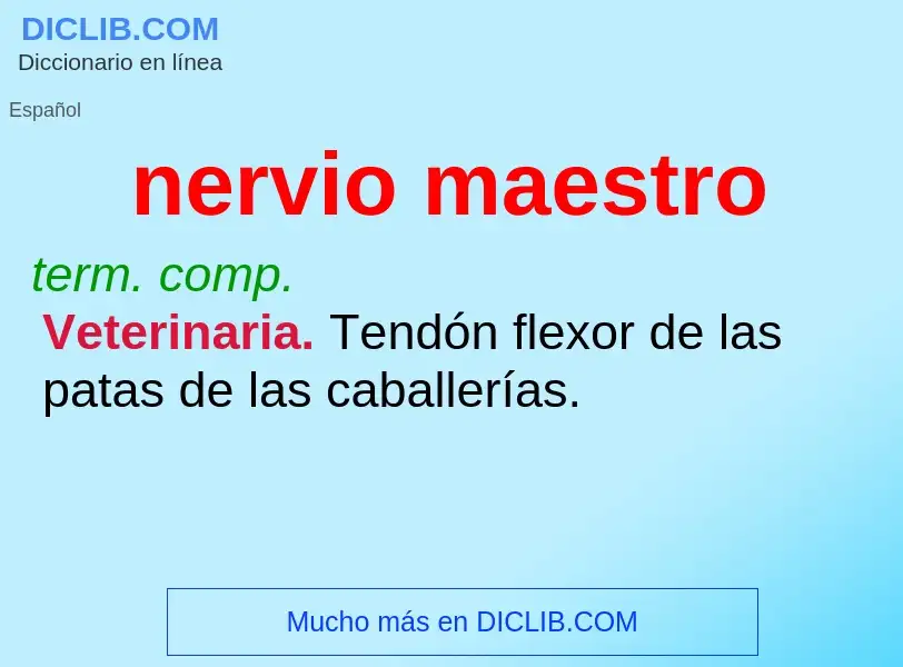 ¿Qué es nervio maestro? - significado y definición